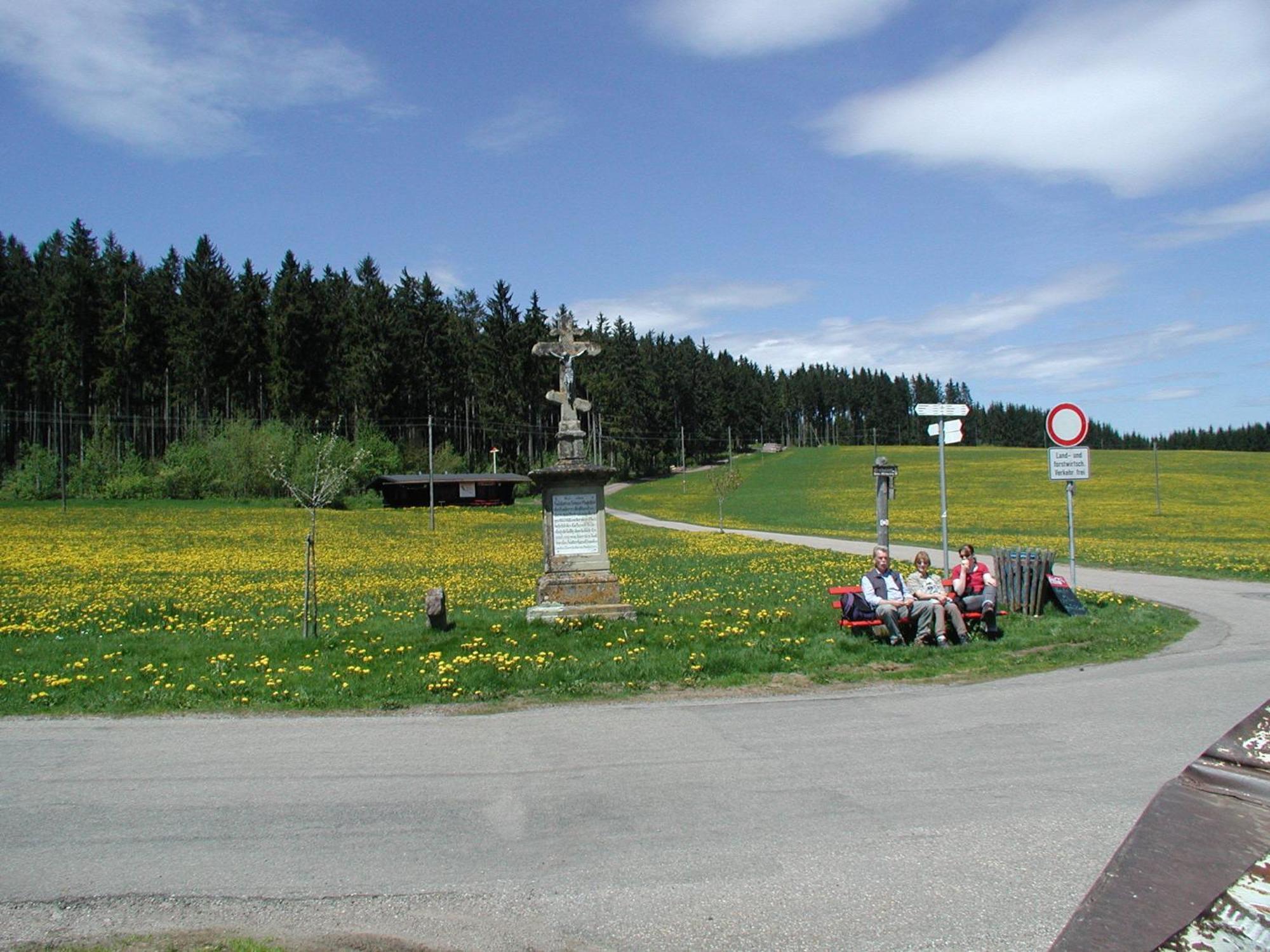 Cafe-Pension Feldbergblick Titisee-Neustadt Exterior foto
