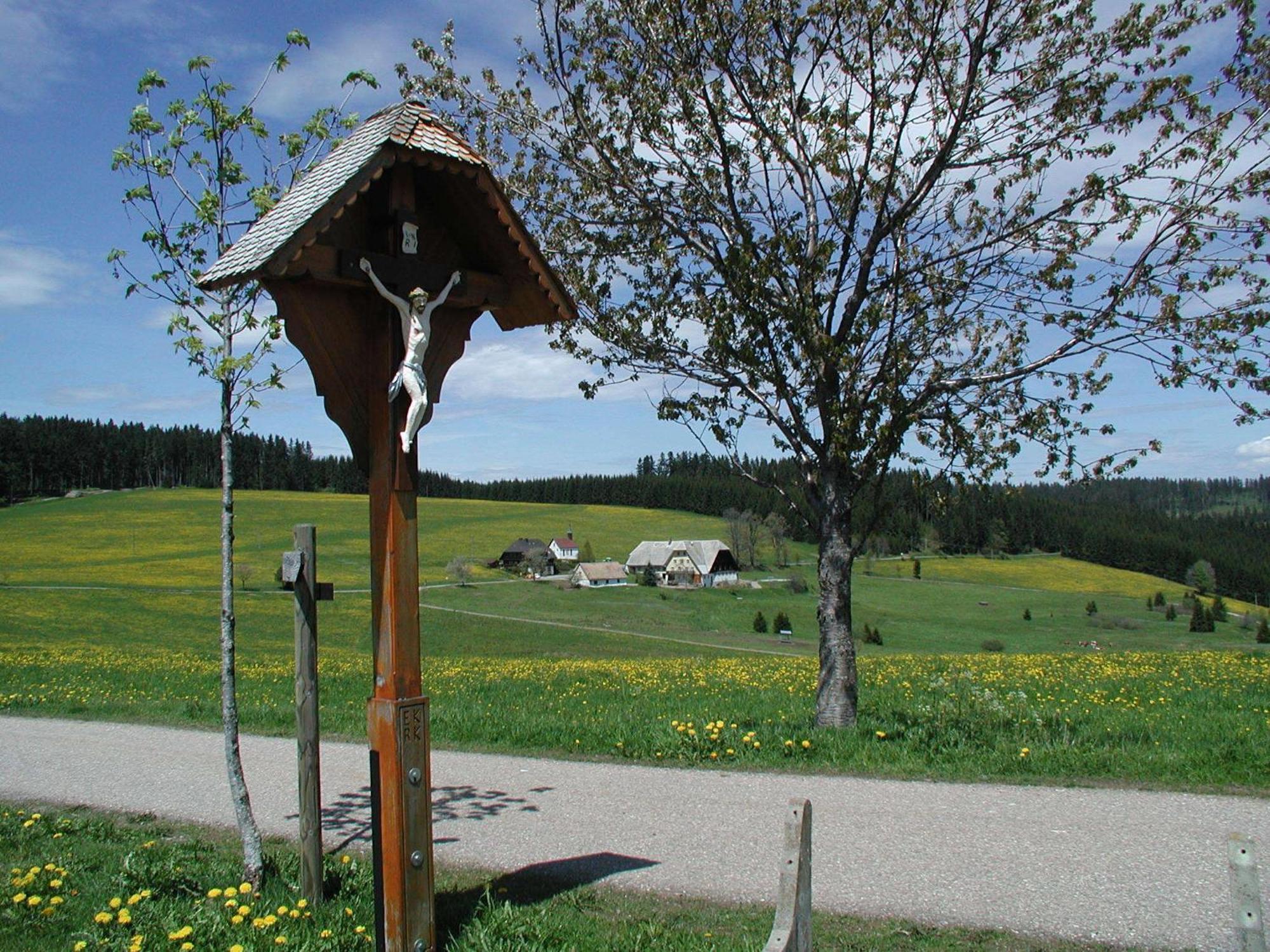 Cafe-Pension Feldbergblick Titisee-Neustadt Exterior foto